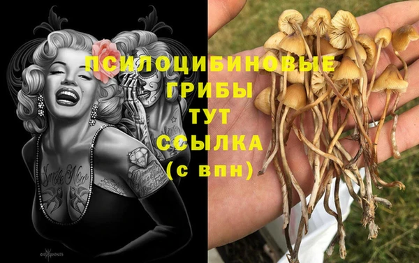 соль курить ск Володарск
