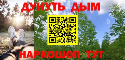 гидра Берёзовский