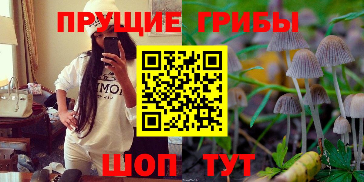 Галлюциногенные грибы Psilocybe Выкса