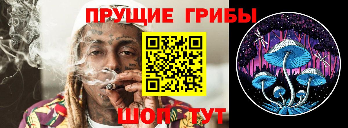 Псилоцибиновые грибы Psilocybine cubensis  Вход с VPN  Псилоцибиновые грибы Psilocybine cubensis  Выкса 